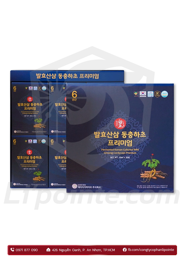 HỒNG SÂM NÚI LÊN MEN ĐÔNG TRÙNG